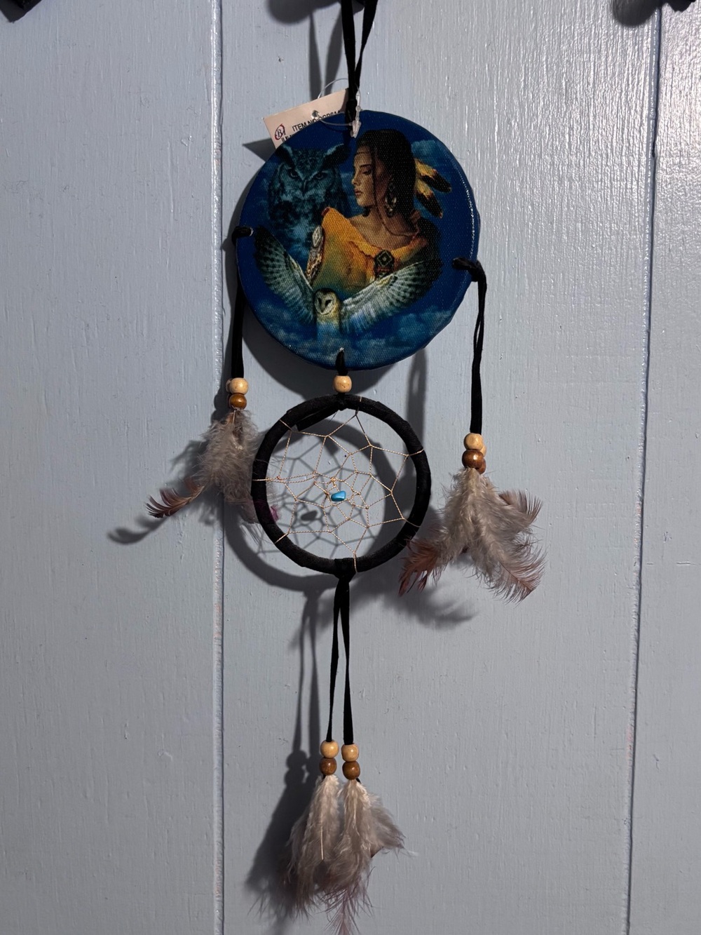 Blue Native-Inspired Dreamcatcher Wall Decor with Feathers